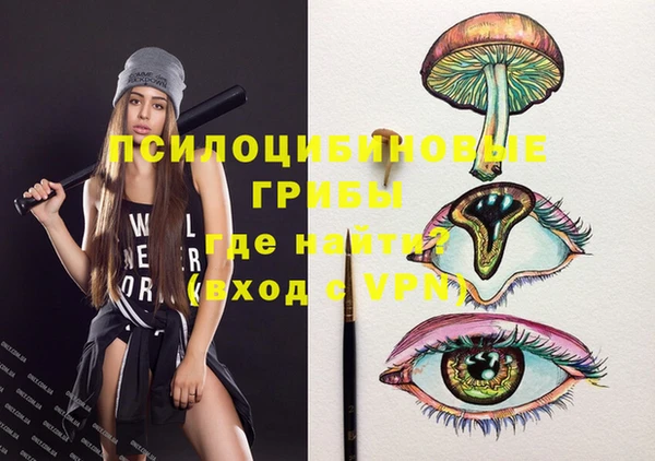 сатива Богданович