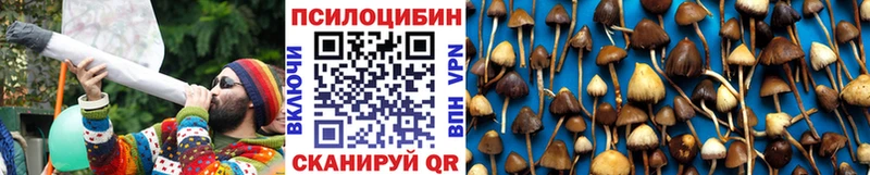 Псилоцибиновые грибы Magic Shrooms  Купить где  Похвистнево 